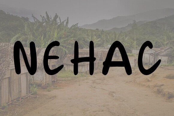 Font Choice That Speaks Volumes: How Nehac Elevates Campaign Design
