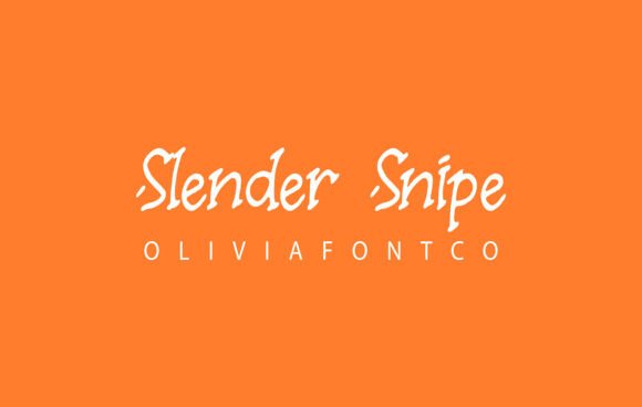 Slender Snipe: A Serif Font for Editorial Elegance