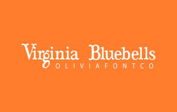 Virginia Bluebells: A Serif Font That Elevates Digital Design